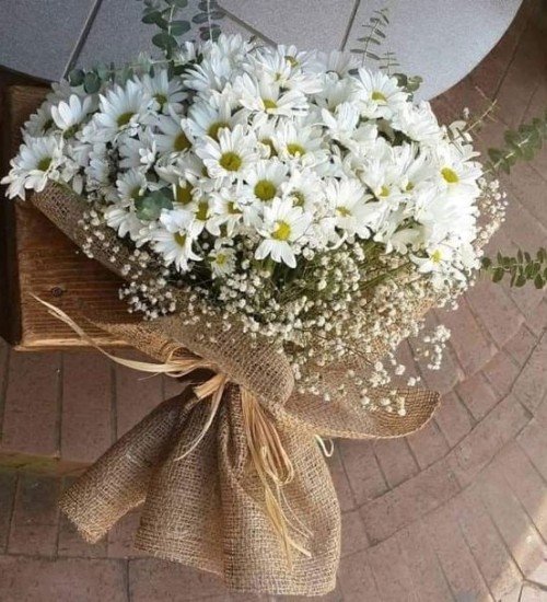 Beyaz Şık Papatya Buketi