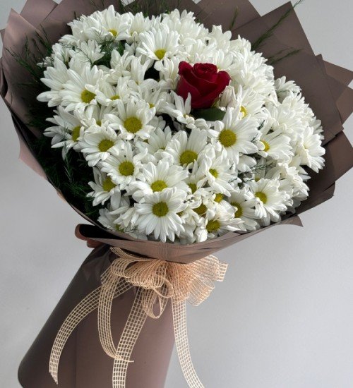 Tek Güllü Papatya Buketi