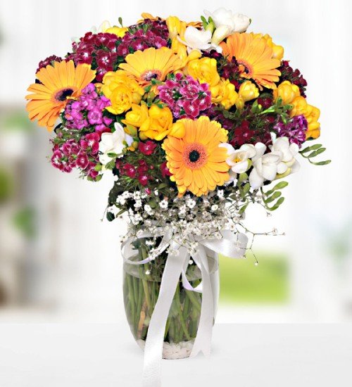 Vazoda Renkli Gerbera ve Hüsnüyusuf