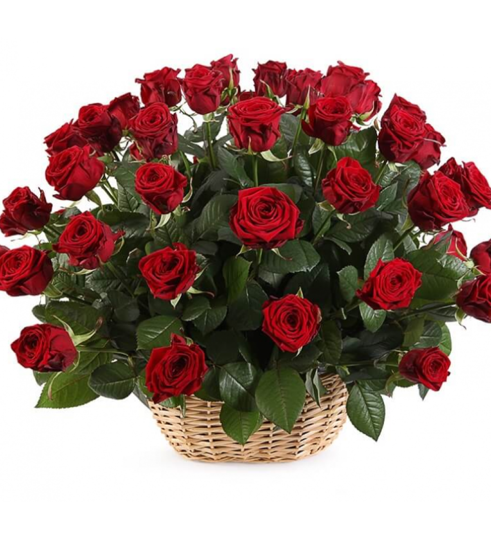 51’li Kırmızı Gül Sepet Aranjmanı | Manavgat & Side Çiçek Sepette 51’li Kırmızı Gül Aranjmanı – Manavgat Aynı Gün Teslim