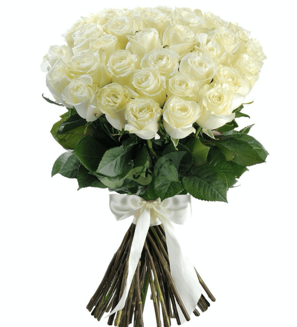 35 Beyaz Gül Buketi | Manavgat & Side Taze Gül 35’li Beyaz Gül Buketi – Manavgat Aynı Gün Canlı Çiçek